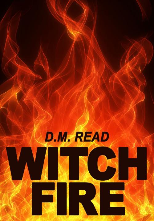 Cover of the book Witchfire by Diana Read, Diana Read