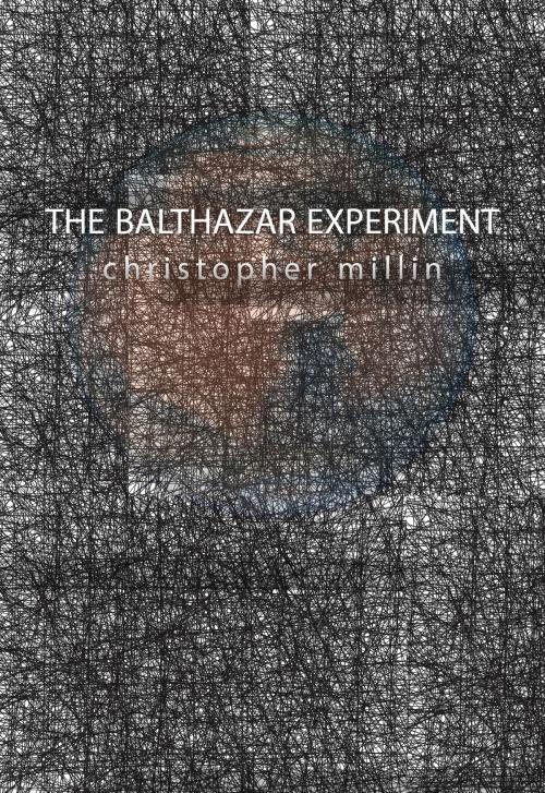 Cover of the book The Balthazar Experiment by Christopher Millin, Christopher Millin