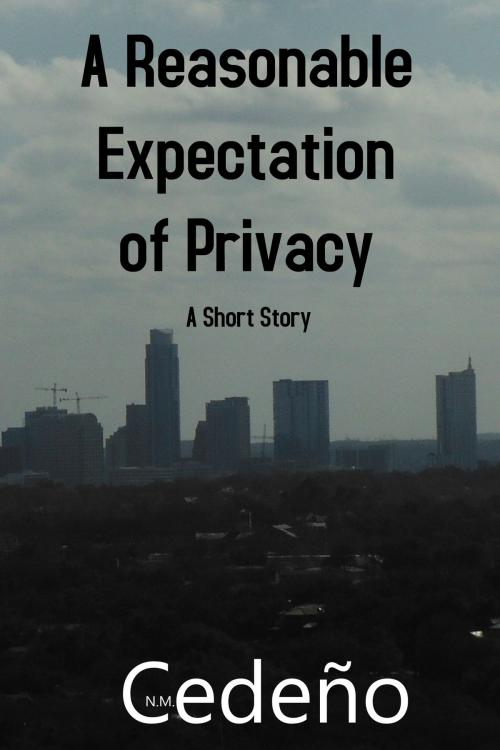 Cover of the book A Reasonable Expectation of Privacy by N. M. Cedeño, N. M. Cedeño