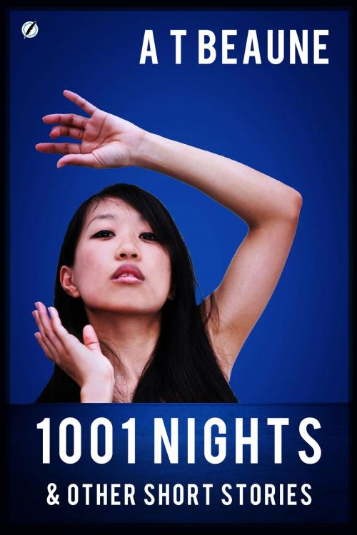 Cover of the book 1001 Nights & Other Short Stories by A T Beaune, A T Beaune Creations