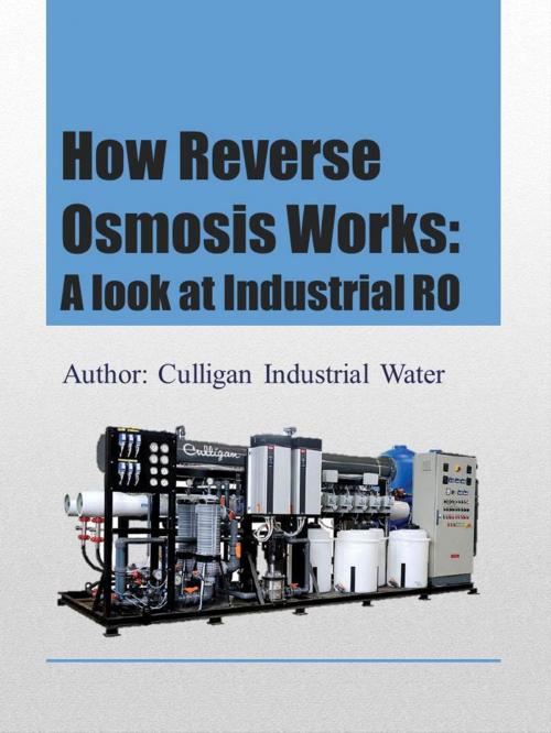 Cover of the book How Reverse Osmosis Works: A Look at Industrial RO by Culligan Water, Culligan Water