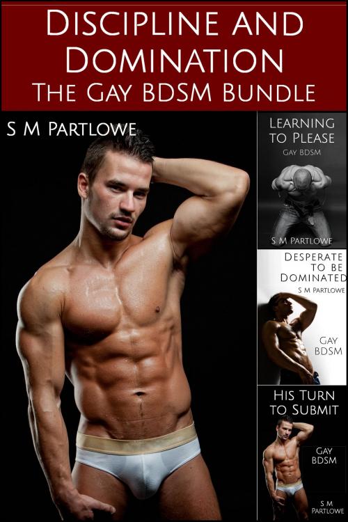 Cover of the book Discipline and Domination: The Gay BDSM Bundle (Gay, BDSM, Spanking, Bondage) by S M Partlowe, S M Partlowe