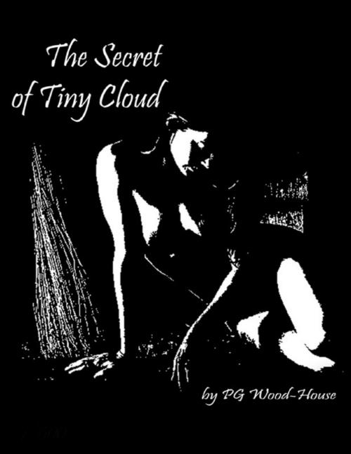 Cover of the book The Secret of Tiny Cloud by PG Woodhouse, Lulu.com