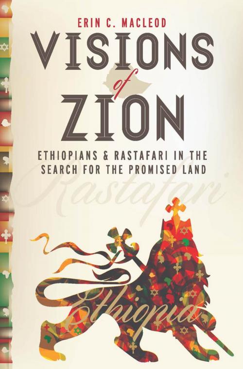 Cover of the book Visions of Zion by Erin C. MacLeod, NYU Press