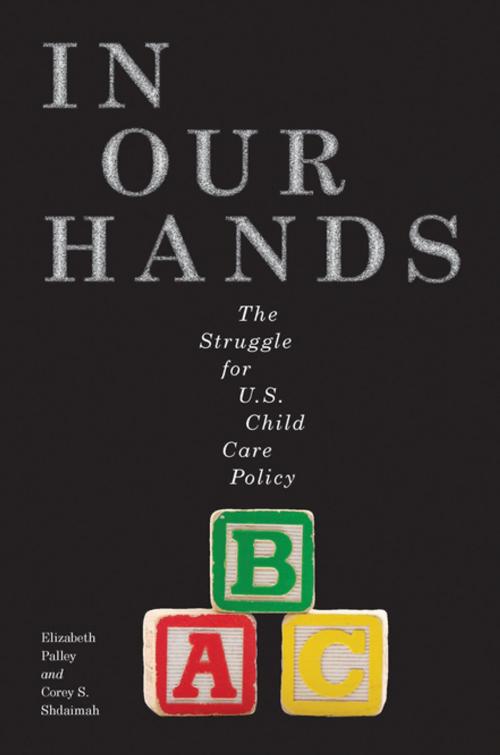 Cover of the book In Our Hands by Elizabeth Palley, Corey S. Shdaimah, NYU Press