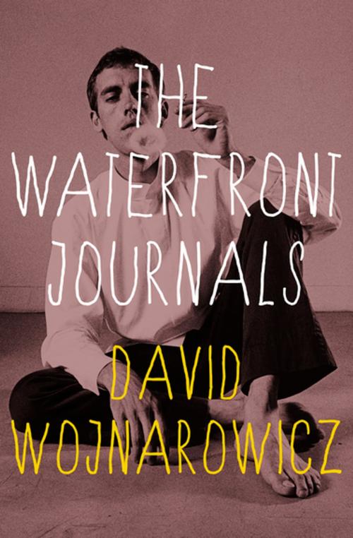 Cover of the book The Waterfront Journals by David Wojnarowicz, Open Road Media