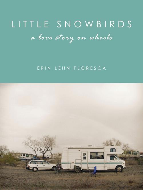 Cover of the book Little Snowbirds by Erin Lehn Floresca, BookBaby