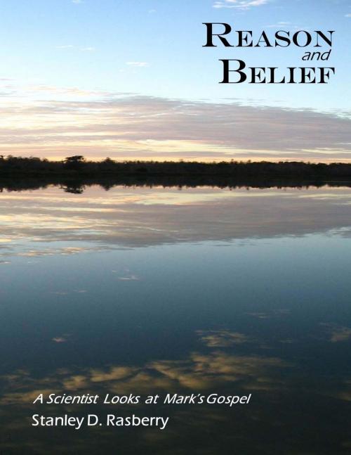 Cover of the book Reason and Belief by Stanley D. Rasberry, BookBaby