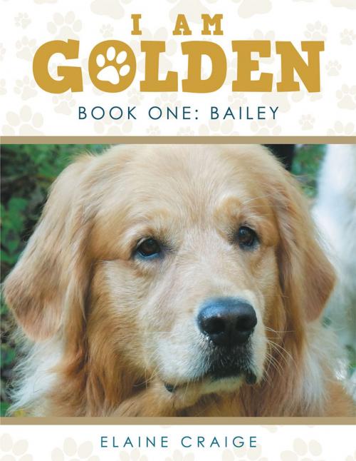 Cover of the book I Am Golden by Elaine Craige, LifeRich Publishing