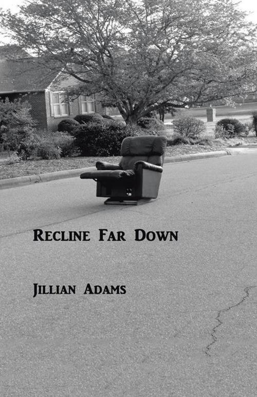 Cover of the book Recline Far Down by Jillian Adams, Trafford Publishing