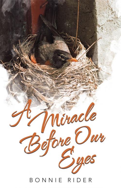 Cover of the book A Miracle Before Our Eyes by Bonnie Rider, WestBow Press