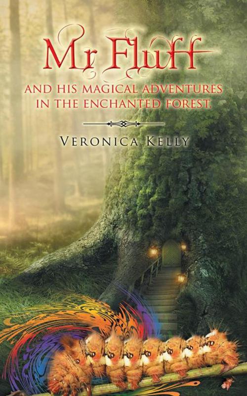 Cover of the book Mr Fluff and His Magical Adventures in the Enchanted Forest. by Veronica Kelly, AuthorHouse UK