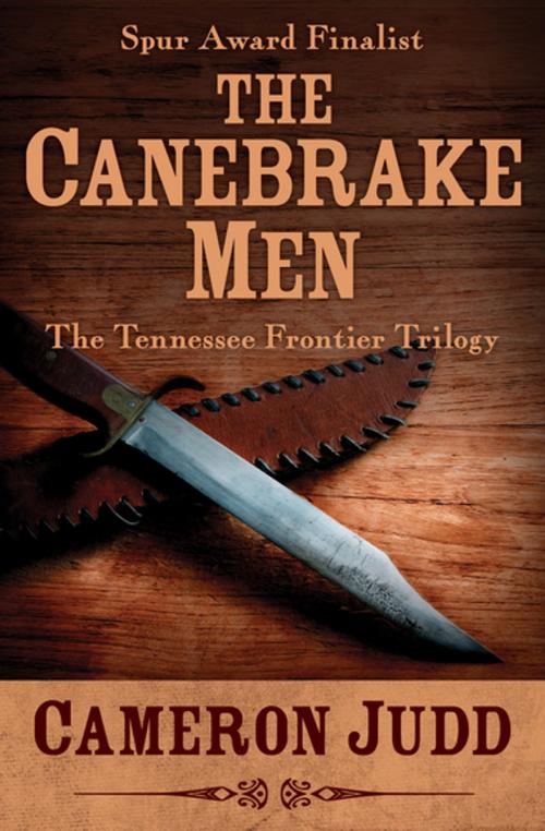 Cover of the book The Canebrake Men by Cameron Judd, Open Road Media