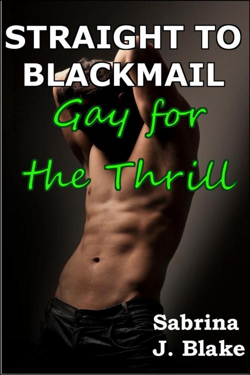 Cover of the book Gay for the Thrill by Sabrina J. Blake, Sabrina J. Blake