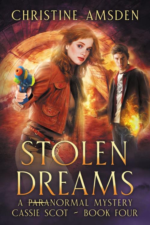 Cover of the book Stolen Dreams by Christine Amsden, Twilight Times Books