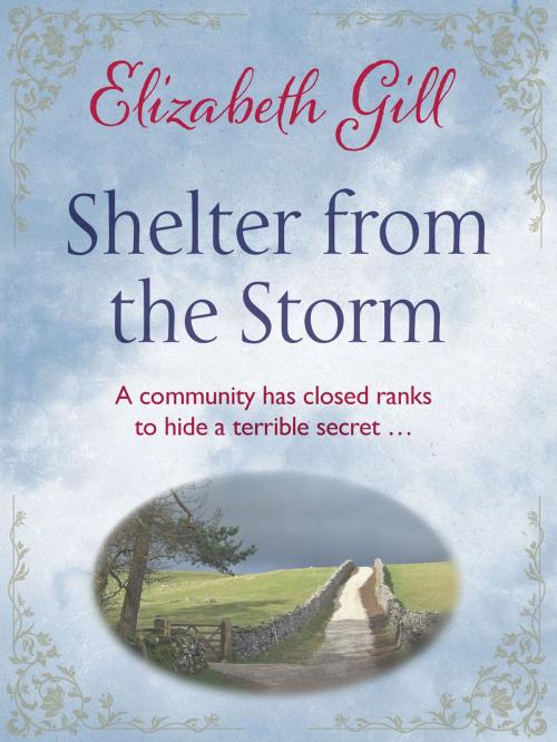 Cover of the book Shelter from the Storm by Elizabeth Gill, Quercus