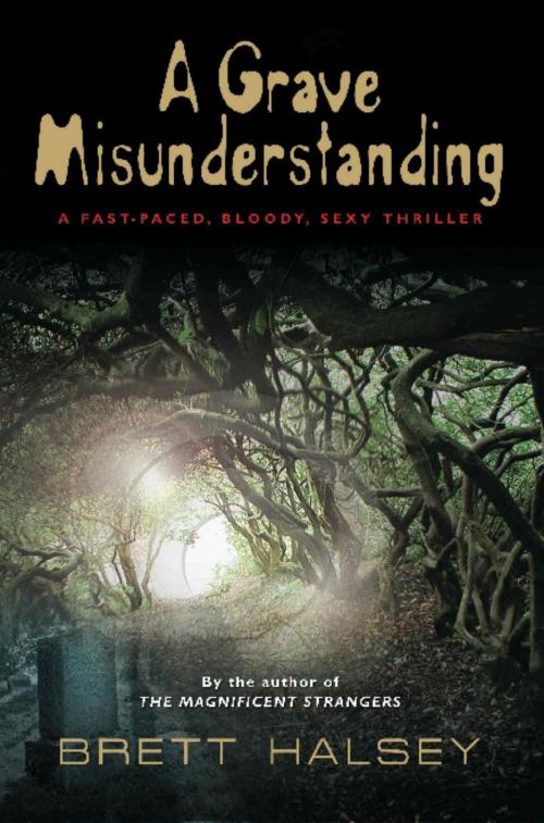 Cover of the book A Grave Misunderstanding by Brett Halsey, BookLocker.com, Inc.