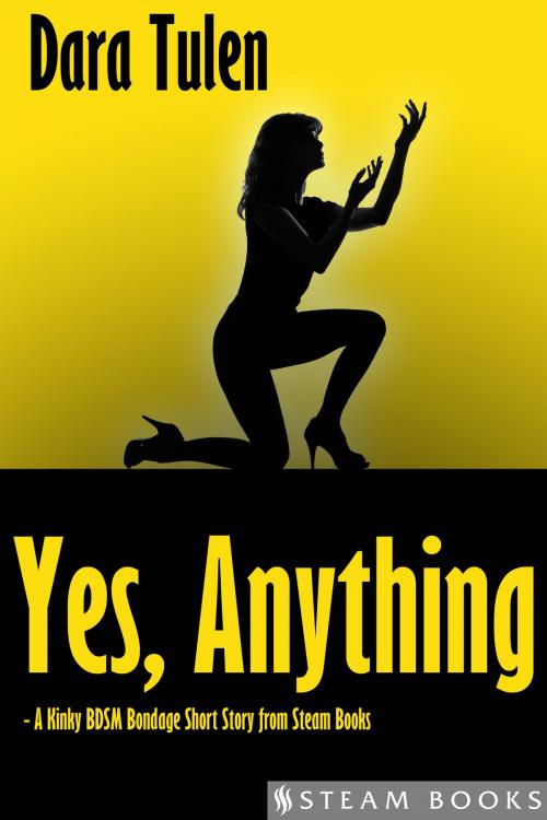 Cover of the book Yes, Anything - A Kinky BDSM Bondage Short Story from Steam Books by Dara Tulen, Steam Books, Steam Books