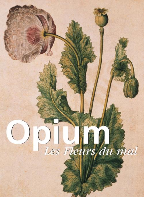 Cover of the book Opium by Donald Wigal, Parkstone International