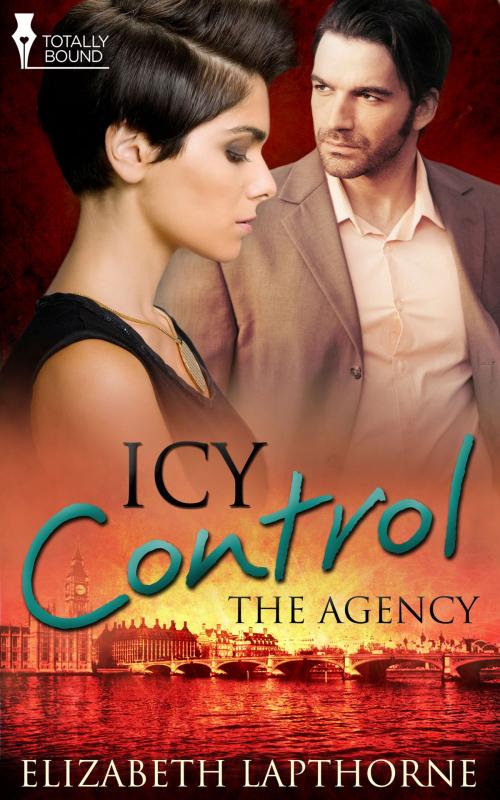 Cover of the book Icy Control by Elizabeth Lapthorne, Totally Entwined Group Ltd