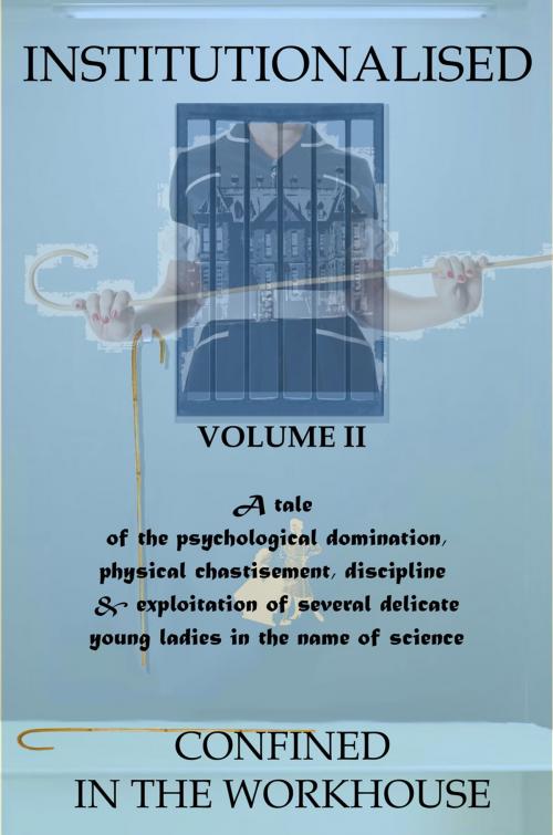 Cover of the book Institutionalised - Volume 2 by Garth Toyntanen, Andrews UK