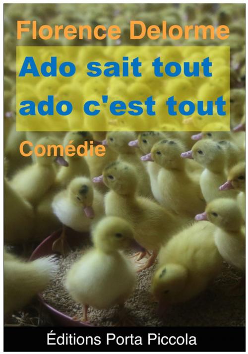 Cover of the book Ado sait tout, Ado, c'est tout. by Florence Delorme, Editions Porta Piccola