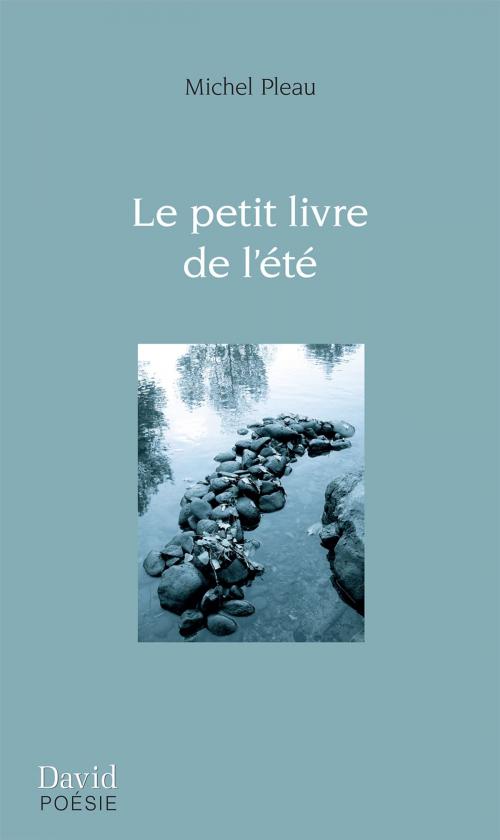 Cover of the book Le petit livre de l’été by Michel Pleau, Éditions David