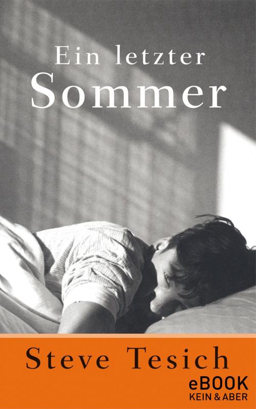 Cover of the book Ein letzter Sommer by Steve Tesich, Kein und Aber (Bücher+Tonträger), Zürich