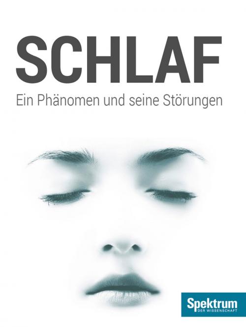 Cover of the book Schlaf by , Spektrum der Wissenschaft