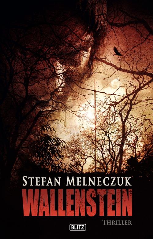 Cover of the book Wallenstein by Stefan Melneczuk, BLITZ-Verlag