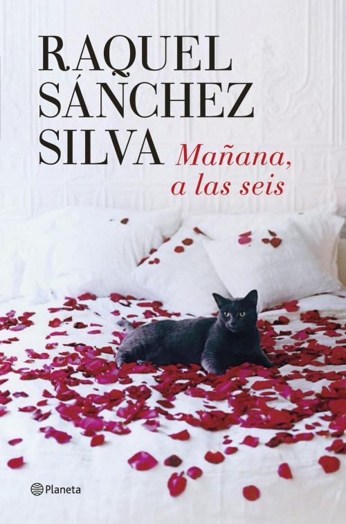 Cover of the book Mañana a las seis by Raquel Sánchez Silva, Grupo Planeta