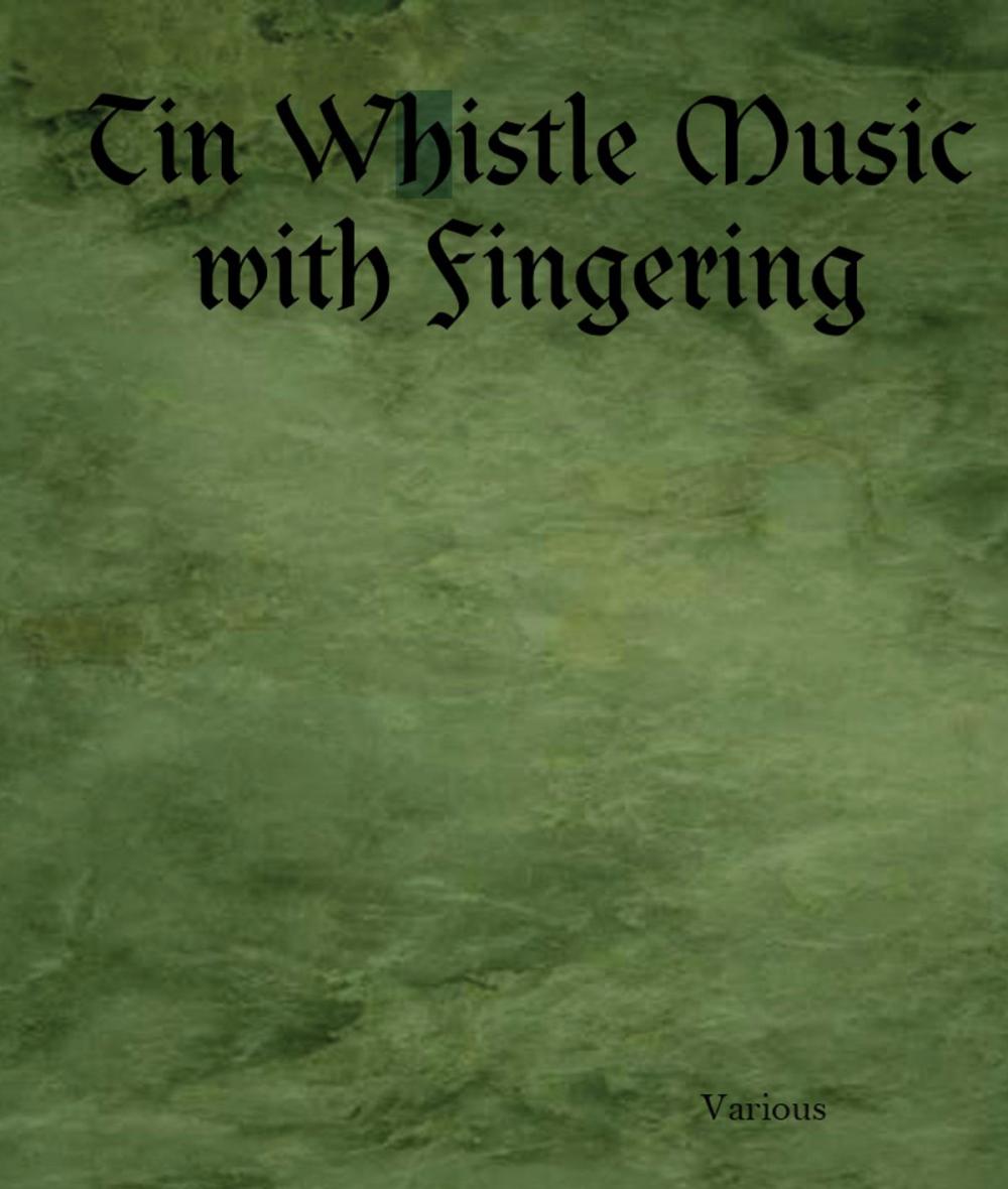 Big bigCover of Tin Whistle Music with Fingering
