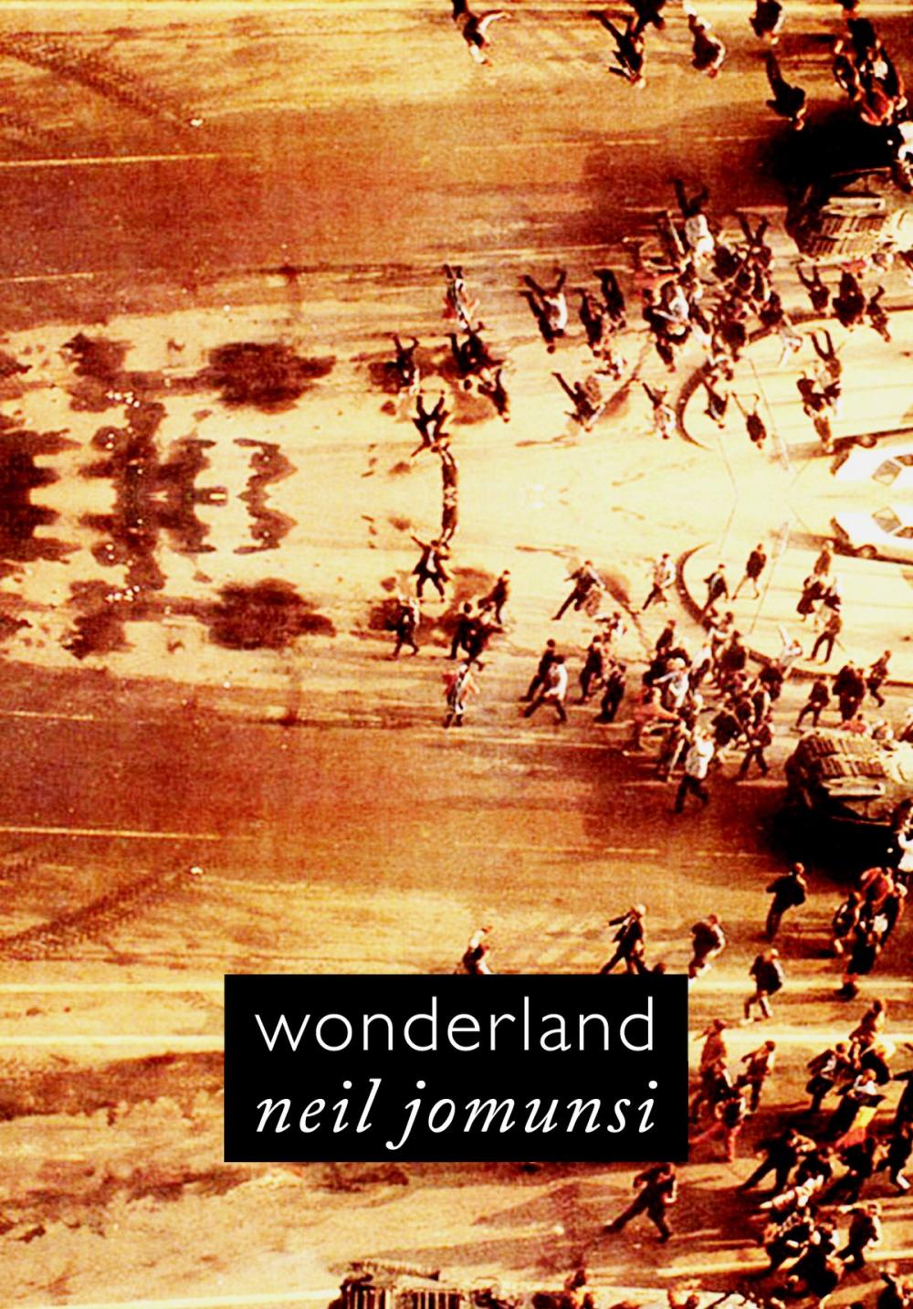 Big bigCover of Wonderland (Projet Bradbury, #29)