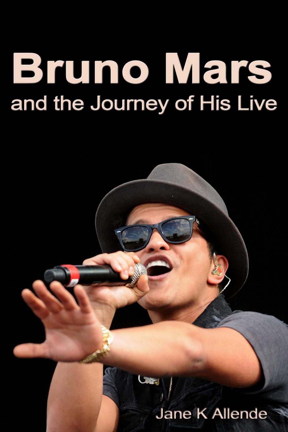 Big bigCover of Bruno and the Journey of His Life