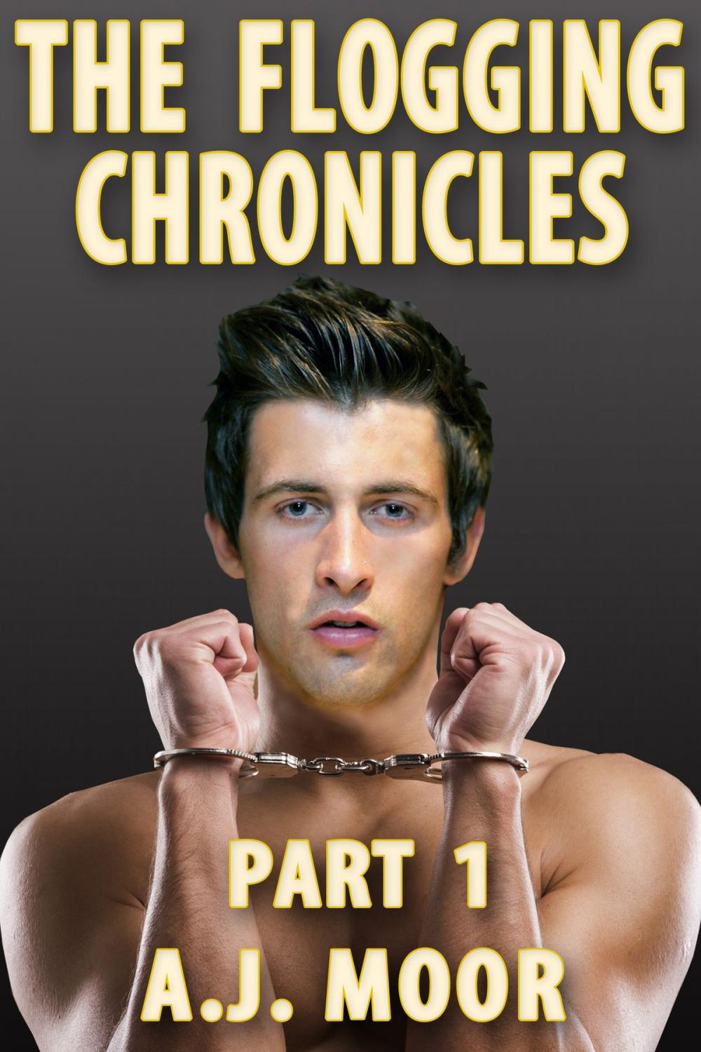 Big bigCover of The Flogging Chronicles - Part 1