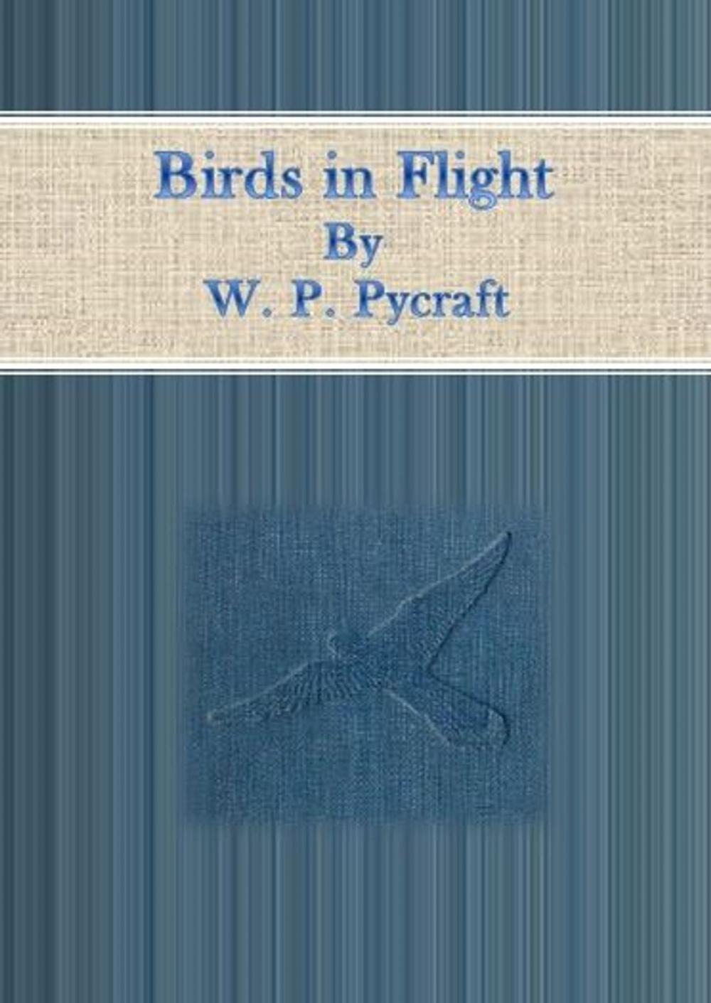 Big bigCover of Birds in Flight