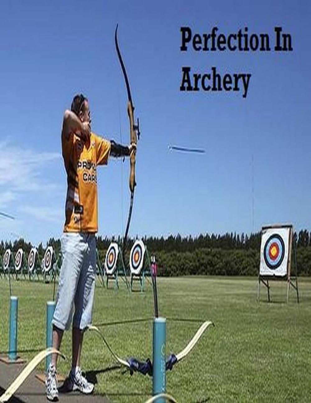 Big bigCover of Perfection In Archery