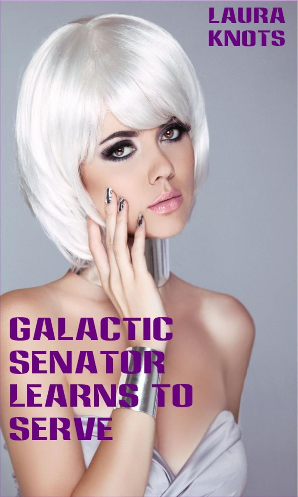 Big bigCover of Galactic Senator Learns to Serve