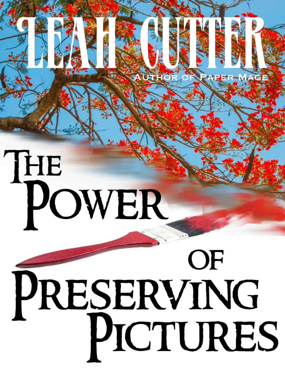 Big bigCover of The Power of Preserving Pictures