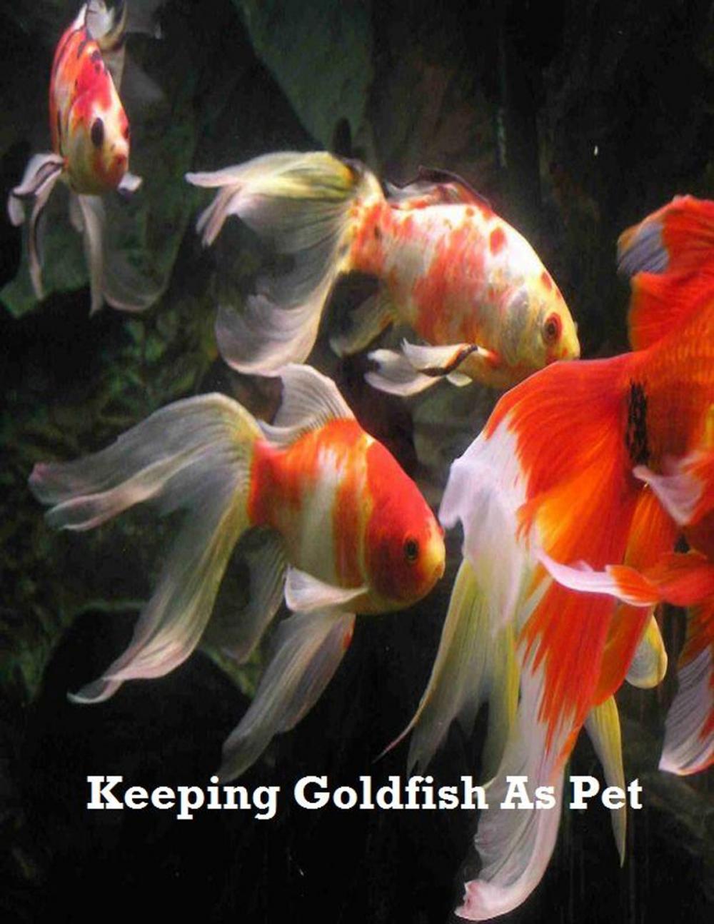 Big bigCover of Keeping Goldfish As Pet