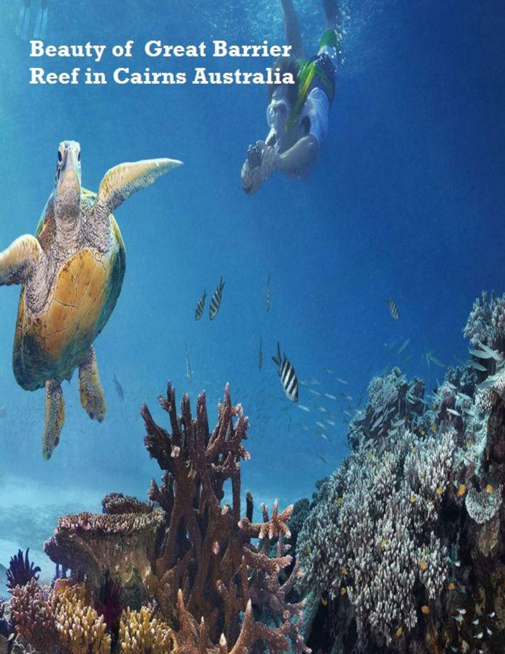 Big bigCover of Beauty of Great Barrier Reef in Cairns Australia