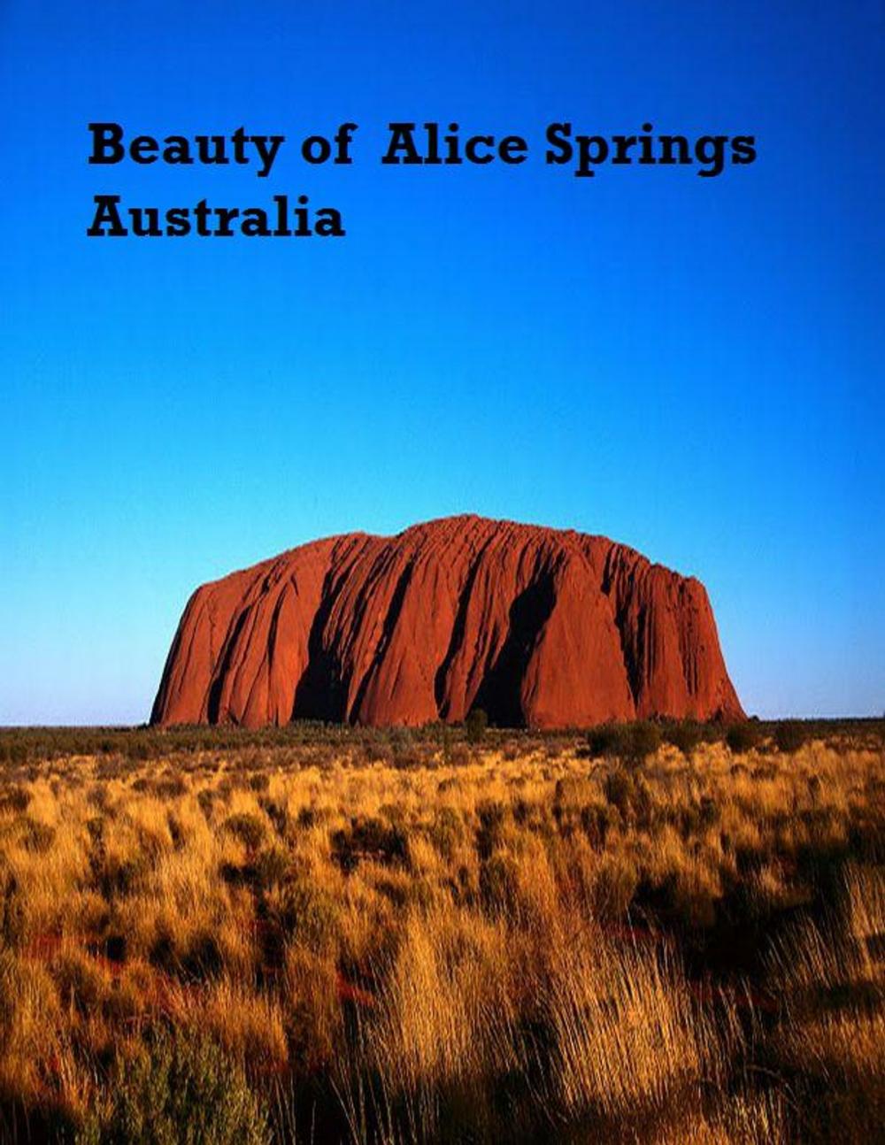 Big bigCover of Beauty of Alice Springs Australia