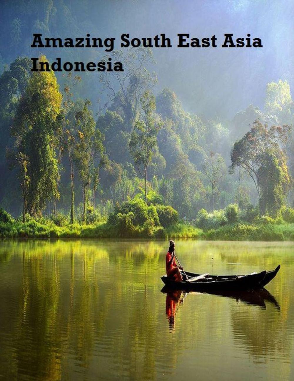 Big bigCover of Amazing South East Asia: Indonesia