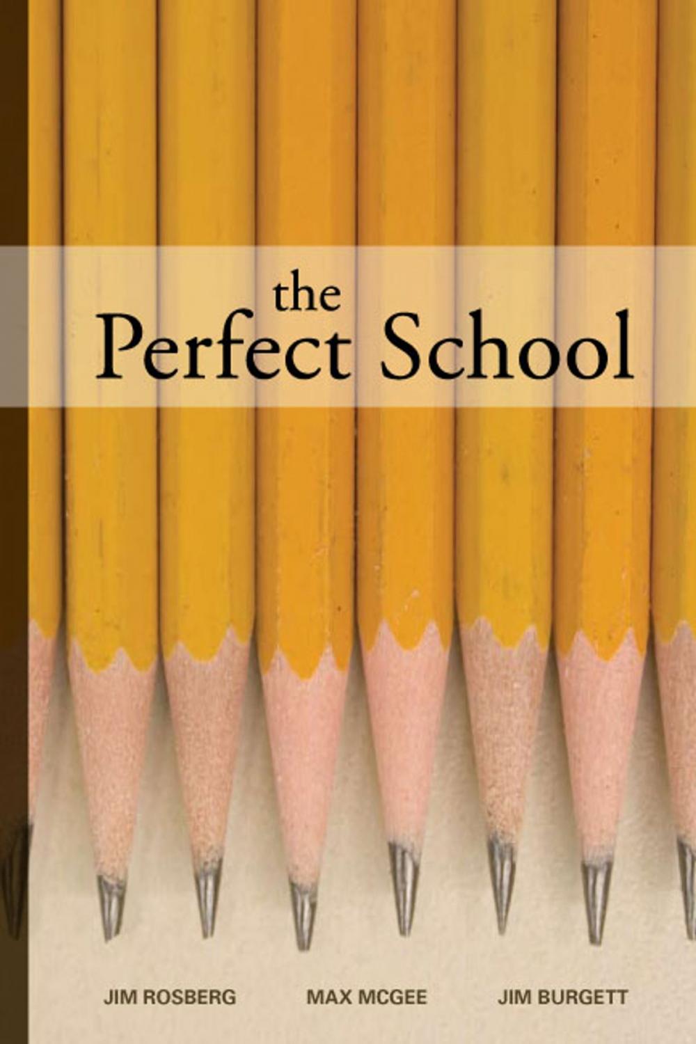 Big bigCover of The Perfect School