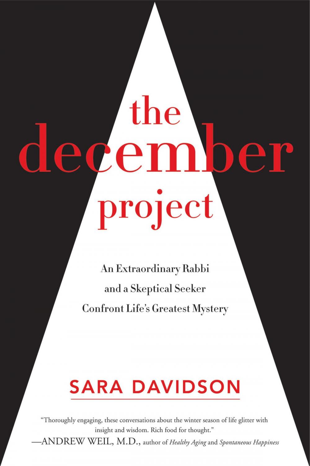 Big bigCover of The December Project