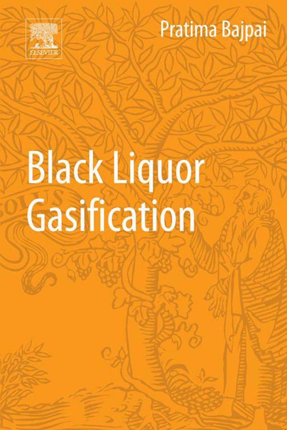 Big bigCover of Black Liquor Gasification