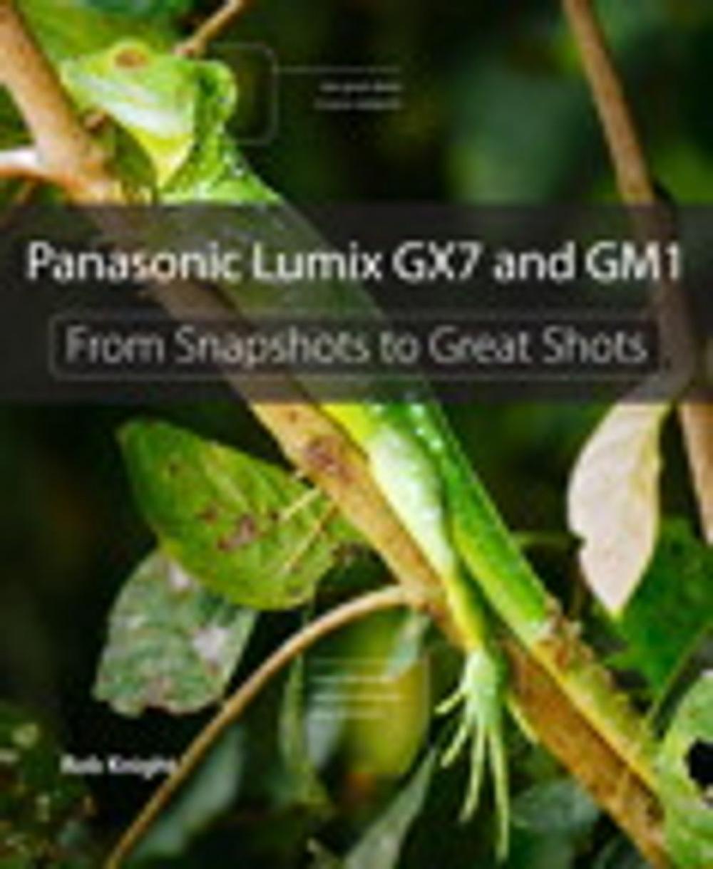 Big bigCover of Panasonic Lumix GX7 and GM1