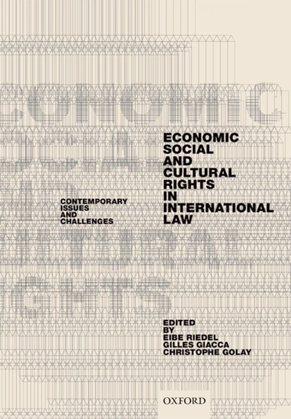 Big bigCover of Economic, Social, and Cultural Rights in International Law