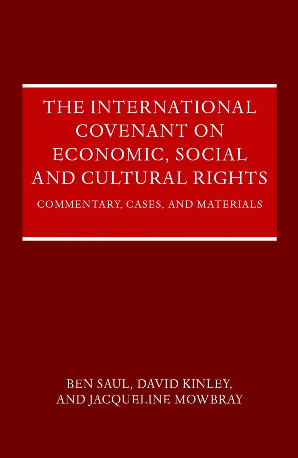 Big bigCover of The International Covenant on Economic, Social and Cultural Rights