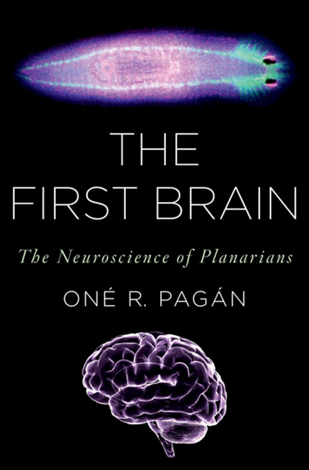 Big bigCover of The First Brain